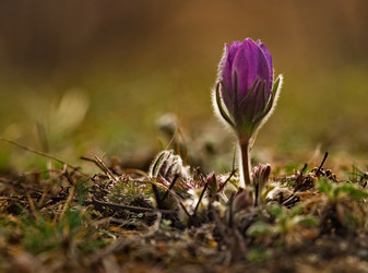 Similar image 21688269