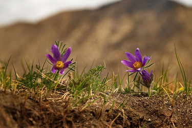 Similar image 21688271