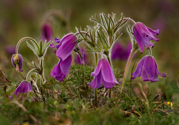 Similar image 21688272