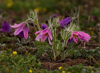 Similar image 21688274