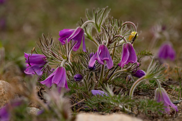 Similar image 21688275