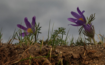 Similar image 21688276