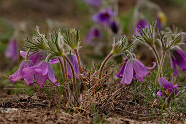 Similar image 21688277