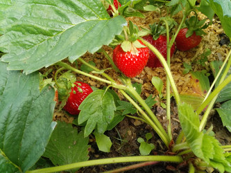 Similar image 21687678