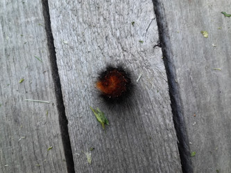 Similar image 21687679