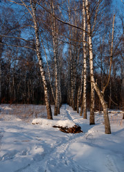 Similar image 21688738