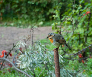 Similar image 21688740