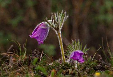 Similar image 21688279