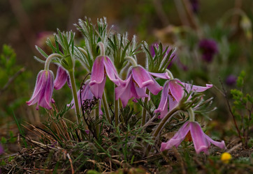 Similar image 21688281