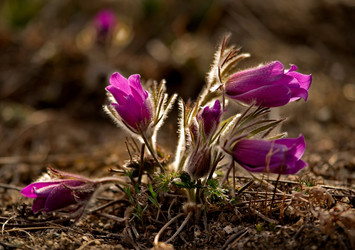 Similar image 21688282