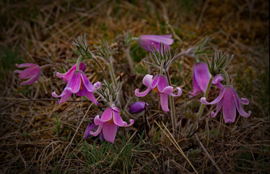 Similar image 21688283