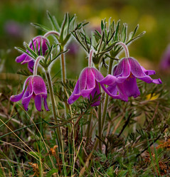 Similar image 21688284