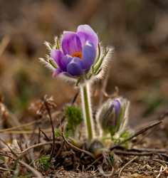 Similar image 21688286