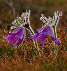 Similar image 21688287