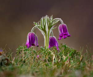 Similar image 21688288