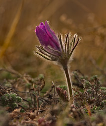 Similar image 21688289