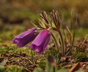 Similar image 21688290