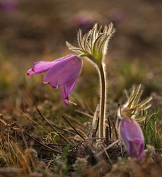 Similar image 21688292