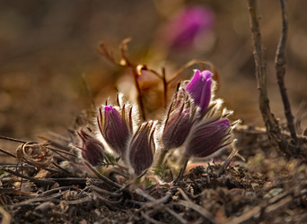 Similar image 21688294