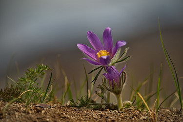 Similar image 21688297