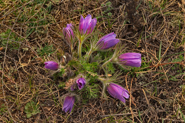 Similar image 21688298