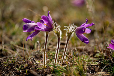 Similar image 21688299