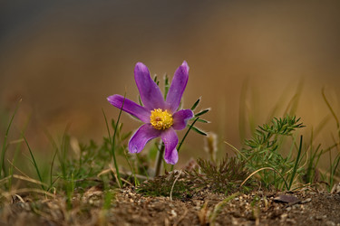 Similar image 21688300