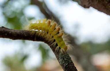 Similar image 21688747