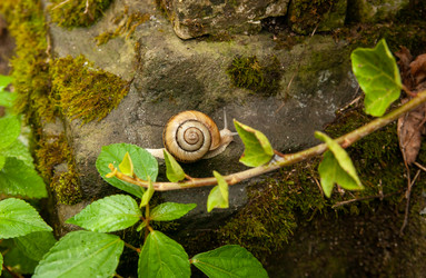 Similar image 21688748