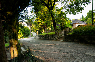 Similar image 21688749