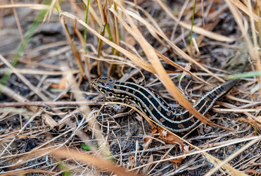 Similar image 21688750