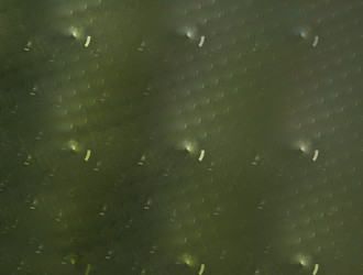 Similar image 21695565