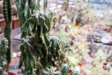 Similar image 21688757