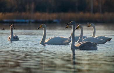 Similar image 21691470