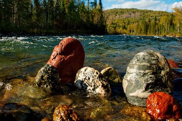 Similar image 21691472