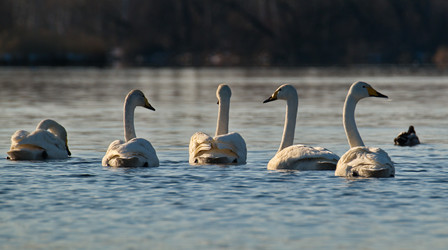 Similar image 21691473