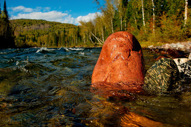 Similar image 21691474