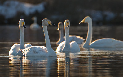 Similar image 21691475