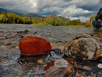 Similar image 21691479