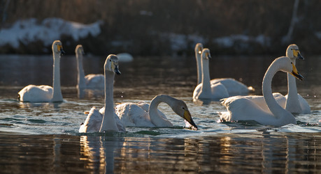 Similar image 21691480