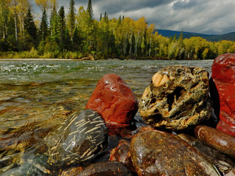 Similar image 21691489