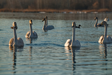 Similar image 21691490