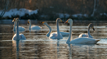 Similar image 21691492