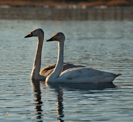 Similar image 21691493