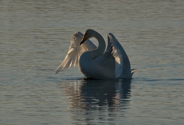 Similar image 21691494