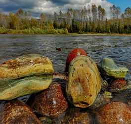 Similar image 21691495