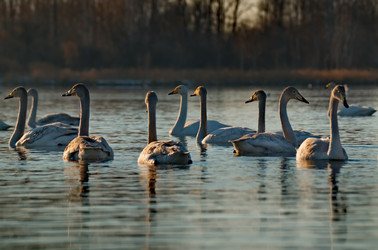 Similar image 21691497