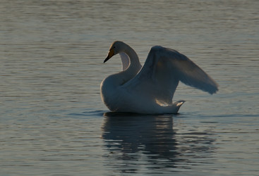 Similar image 21691498