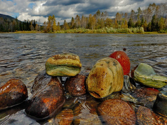 Similar image 21691499