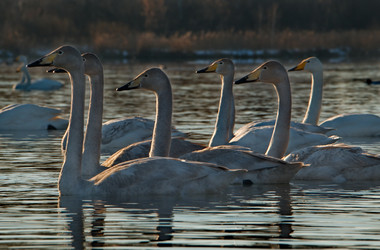 Similar image 21691500